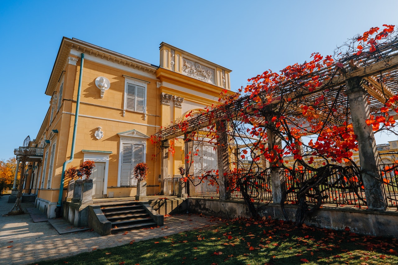 Handige tips bij pergola’s kopen
